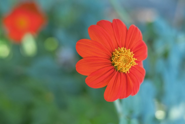 FC26足球庆典队长：金搓姆巴佩领衔，C罗、凯恩、范戴克在列